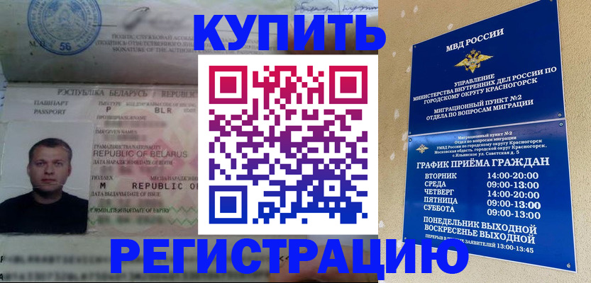 прописка законно в Сураже